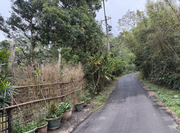 [樟之細路_第二大段RSA17] 2026_0328 飛鳳古道3026071