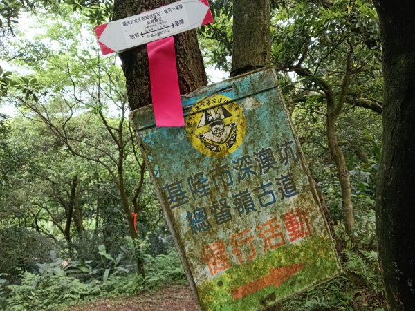 基隆市總督府(嶺)步(古)道-五坑山-五坑湖3038927