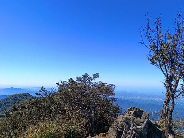 加里山（大坪登山口O繞）112/11/282362972