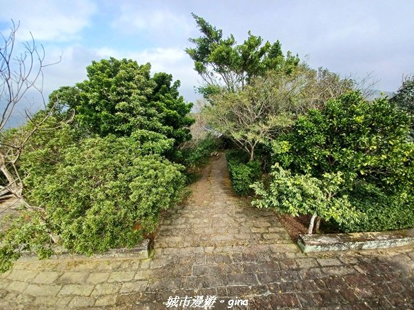 【台北。內湖】山頂好眺望。 小百岳集起來。 編號8小百岳大崙頭尾山親山步道1590485