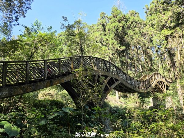【南投鹿谷】溪頭天文台登山步道3037357