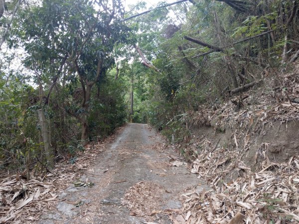 白雲山(小百岳#69)步道1377503