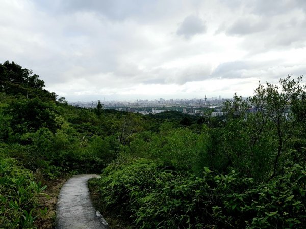 丹鳳山親山步道。軍艦岩1127214