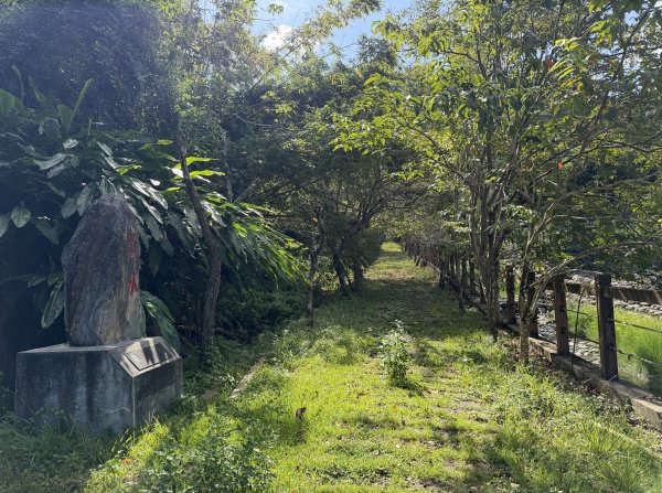 [漫遊縱谷 愛在花東] 2025_1018 米棧古道(第二回)2921149