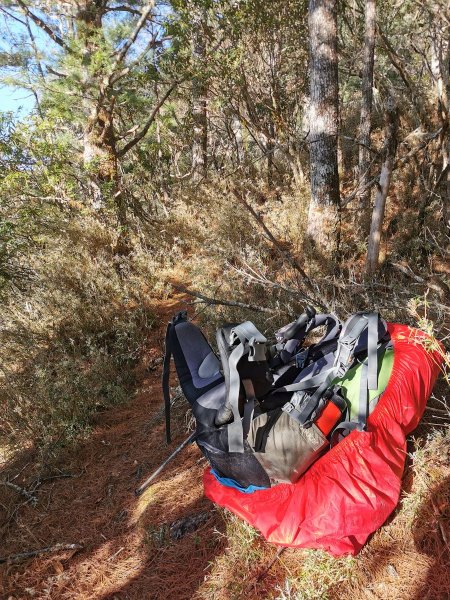 南三段縱走-百里長征在雲端-丹大東郡橫斷908874