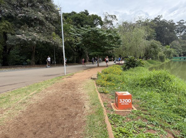 [紐約馬之行-68] 2025_1116 伊比拉布埃拉公園-中2955123