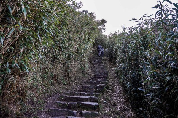 小油坑上七星山2979205