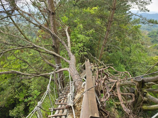 台中大坑4號登山步道2751102