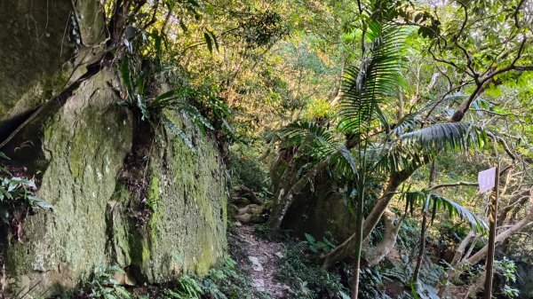 叮叮叮：一個人的微笑山線😊2917430