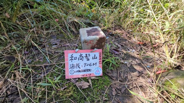 20260104源茂山.源茂山西峰.和尚髻山O走+親水觀魚步道2977731