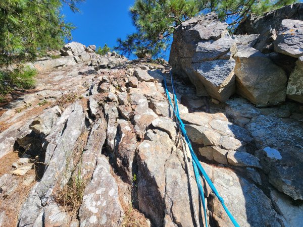 20241013東南稜上東卯山2670984