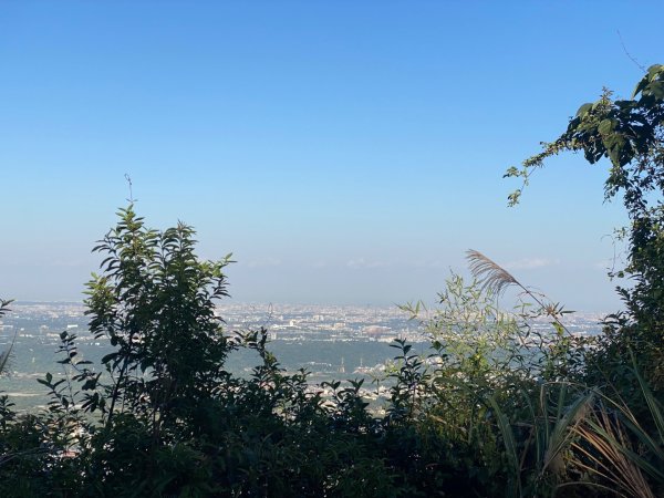 桃園大溪-打鐵寮古道-白石山2612644