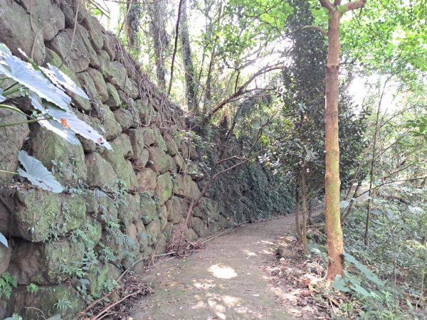 台南關子嶺枕頭山，大凍山，雞籠山步道3123316