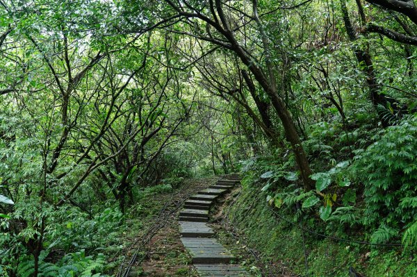 新北 瑞芳 頂子寮山、五分山2615508