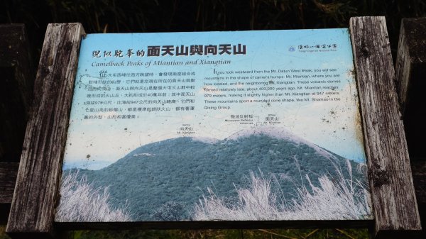 20260125 陽明山前後山健行(無極天元宮~山仔頂步道.向天池.向天山.面天山.二子坪)2998031