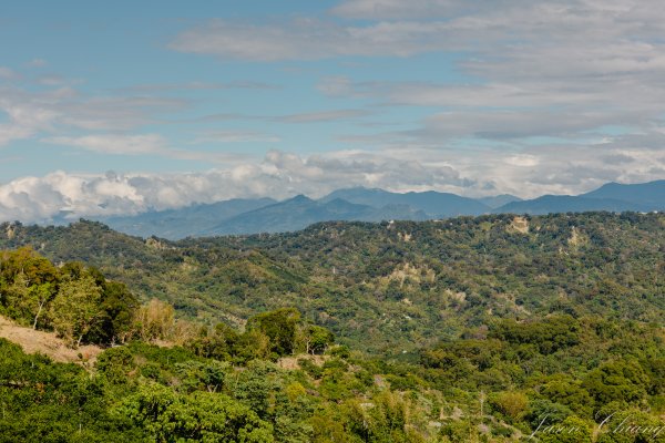 [台中]聚興山2703796