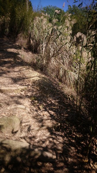 出關古道關刀山步道1584800