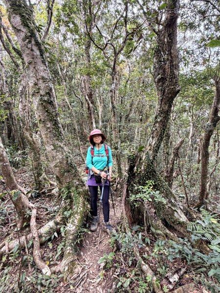 女仍山+帽子山O繞 202602273009566