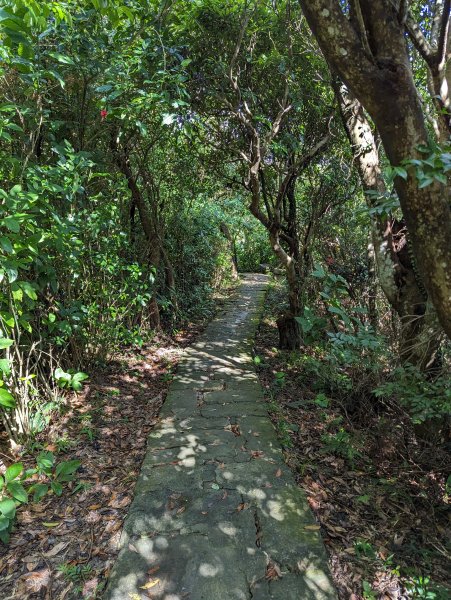 2023-09-28 臺北大縱走第五段2792900