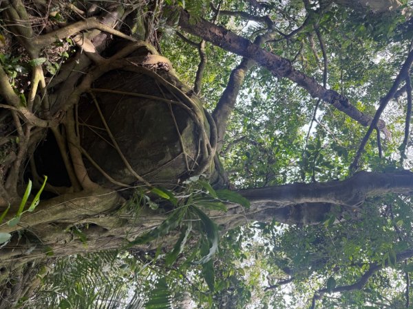 偷吃步之台北天際線第十段2777815