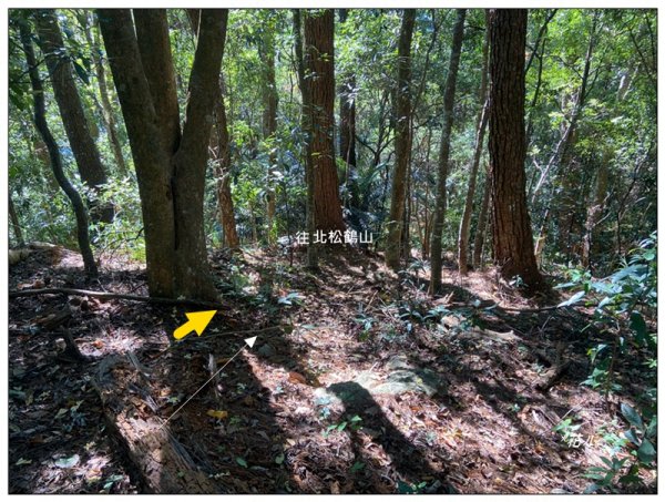 北松鶴山、德芙蘭步道 (台中 和平)2922147