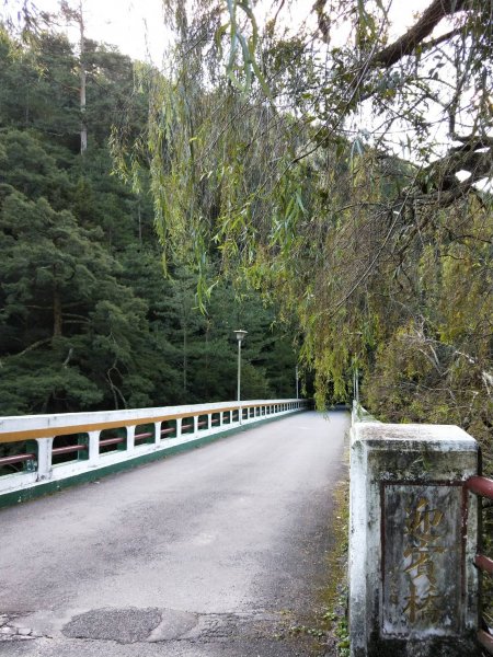 20191006武陵農場桃山瀑布步道1627846