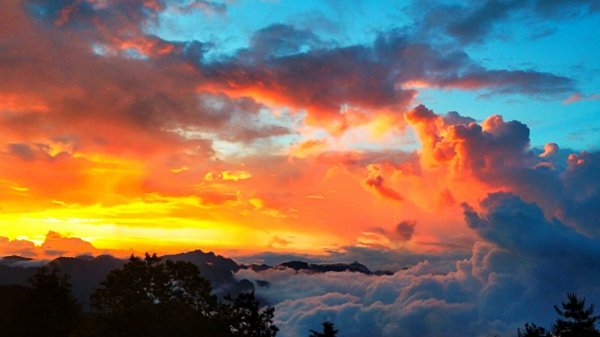 【阿里山私房景點】塔塔加夕陽下的彩霞691629