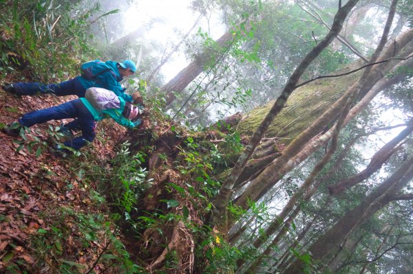 石麻達山散步行封面