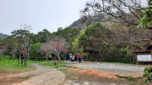 《台中》新春減肥｜龍井竹坑南寮登山步道202202121608728