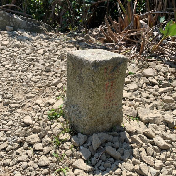 20250222屏東赤牛嶺-大山母山-小尖石山2719888