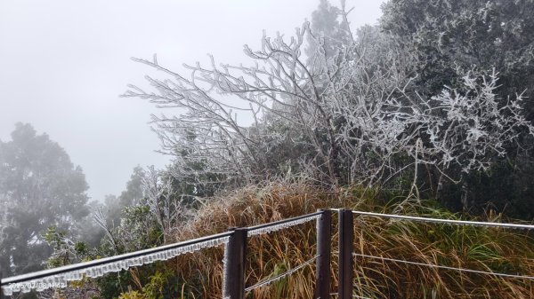 #霧淞 #雲海 #雲瀑 #霧虹 #太平山 #望洋山 #觀雲步道 #翠峰道路  2/82995328