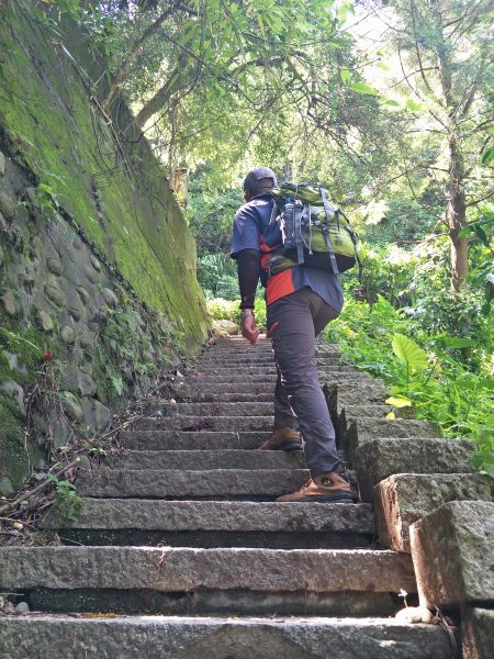 大坑4號步道&頭嵙山374859