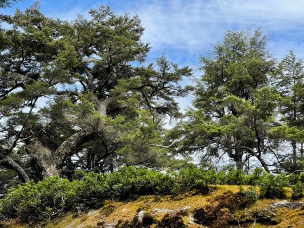 楠梓仙溪上南玉山1373101