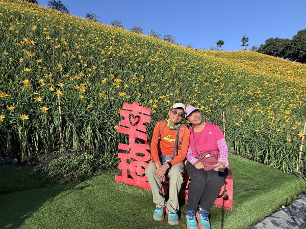 虎山巖賞金針花順撿基石    2025.5.142789448