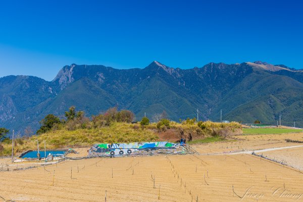 福壽山千櫻園櫻花盛開2724936