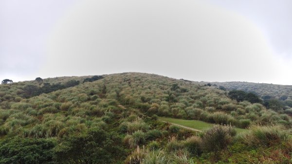 陽明山輕鬆走2991982