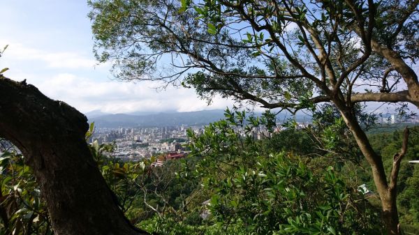 虎山溪+虎山山腰+虎山自然步道348463