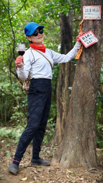 東勢大崙、東勢坑山、觀音湖山O走2986302