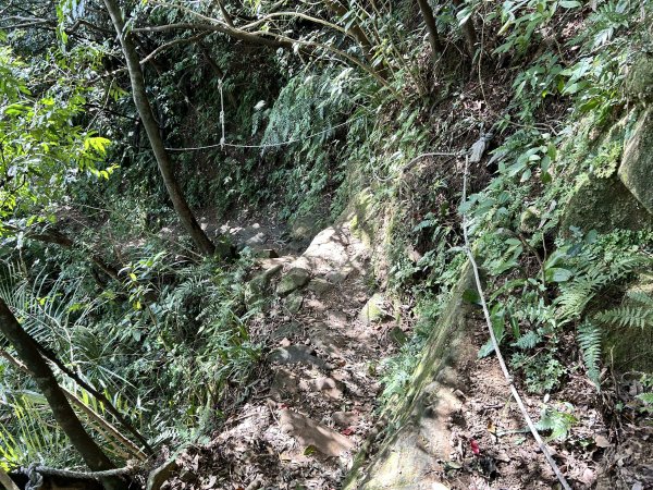 暖東峽谷步道2949292