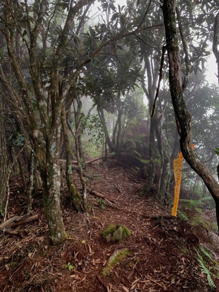 210林道騎行順登山椒山、烏石坑山  2022.10.231912652