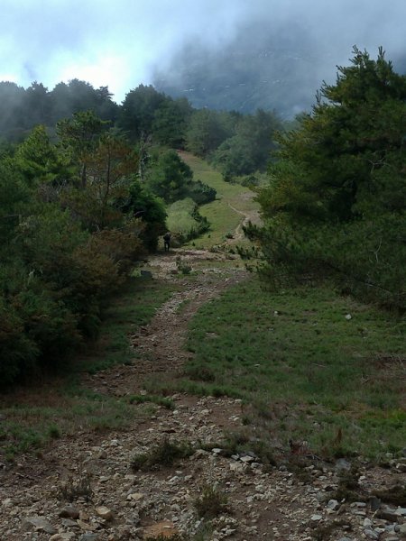 【臺中市和平區】大小劍山、佳陽山3天2夜(下)1815679