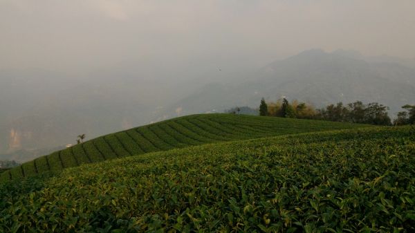 獨立山、大巃頂122448