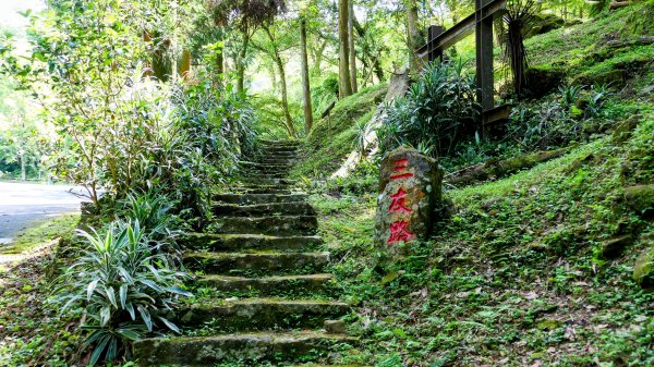 南勢坑小尖,大尖2816034