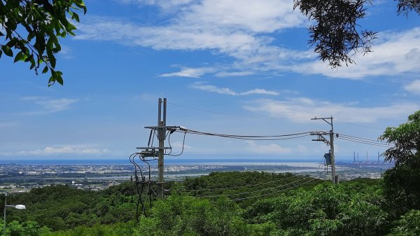 《台中》綠蔭夏蟬｜大肚環保公園登山步道O型202206261745200