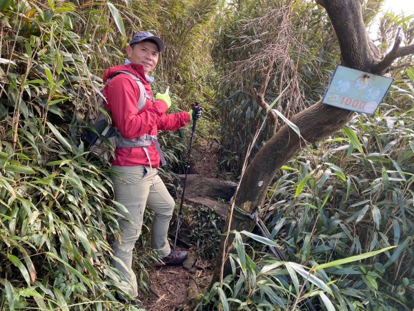 小觀音山群峰【當登山遇到惰性來襲時…】2686397