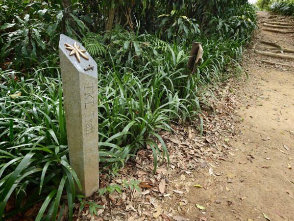 [淡蘭古道] 2026_0523 南路第一段_中埔山步道3069381