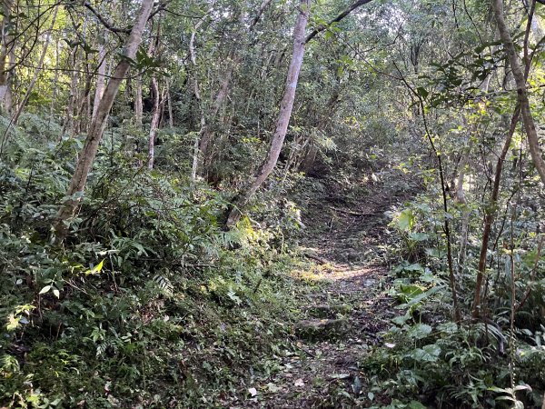 [淡蘭古道] 2025_0802 南路第四段2850810