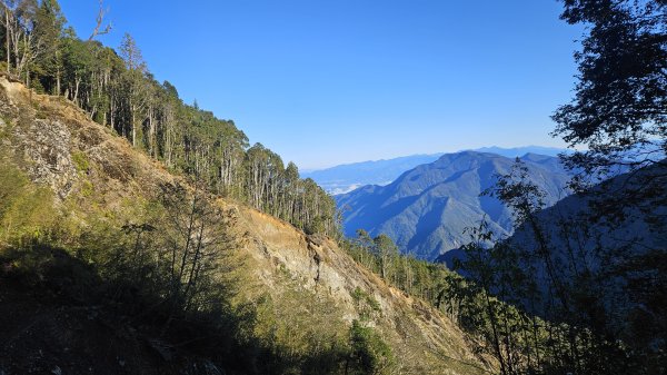 巒安堂-西巒2685968