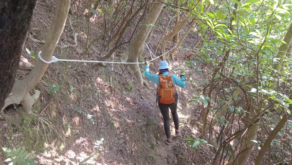 (姨婆趴趴走)第四十九集:攀登連走宜蘭梗枋山、橋板湖山2747716