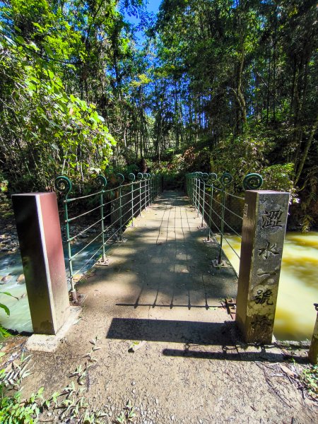 2024-08-22 澀水森林步道2578379